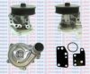 FORD 2U1Q8K500AA Water Pump